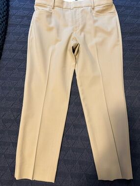 Banana Republic Tan Women’s Dress Pants